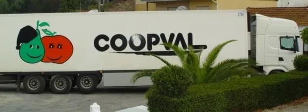 Decoração de viatura